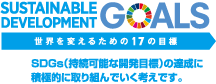 SDGs　世界を変えるための17の目標